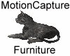 MC| Animated Cat Furnitu