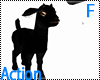 Action. Pet Black Goat F