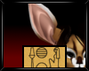 Gazelidee Ears