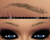 Real Blond Brow 7 