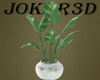 Vase with plant