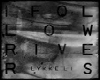 I follow rivers Lykke Li