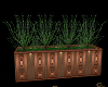 Copper Planter