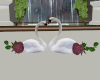 SC Love swans