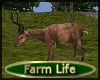 [my]Farm Deer