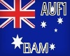 3D! Aust Flag Particals