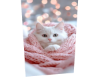 Cat 6