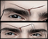 s. Eyebrows Lil Scar