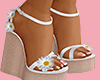 Daisy Wedges