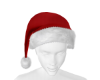 (XV) Hat Santa