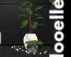 Modern plant