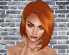 ⓝBrandy_Ginger