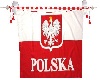 Polish Sign Banner