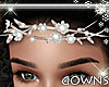 Jewel Flower Crown