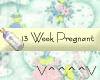 13 Weeks Pregnant (Y)