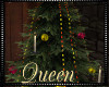 !Q Saloon Christmas Tree