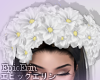 [E]*White Flower Crown*