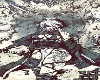 Cutout 606