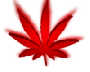 Weed Neon Sign Red