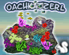 OK Coral Reef 2 Animated