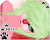 [Pets] Tila | hair v3