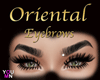 Oriental Female Eyebrows