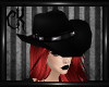 Dark cowgirl hat