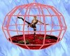 Dance Cage red roses