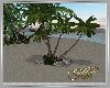 Moonlite Plam Trees