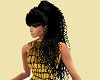 CW AOS Black