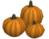 Fall Pumpkins 2