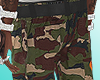 Camo Slacks