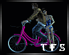 Romantic Bicycle  /P
