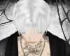 v4.white