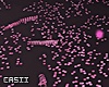 Pink Confetti 2025