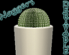 Cactus Tall Pot