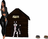 Husky Dog House
