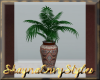 *SL* Navaho Lobby Palm