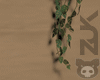 乙 Plants