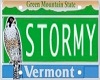 Stormy Licence Plate