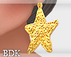 (BDK)Earrings star