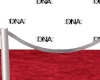 D. DNA Red Carpet