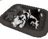Puppies Sleeping Bed