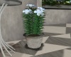 ~SB Paris Flower Pot