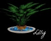 [LWR]Love Island Plant
