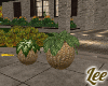 AutumMood~Plants