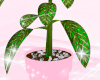 pink plant <3