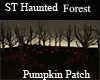 ST HAUNTED FOREST
