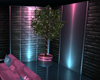 {W} Devil May Cry Ficus