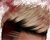 Camus IV